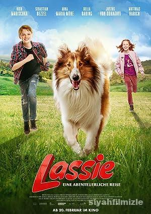 Lassie Eve Dönüş 2020 izle
